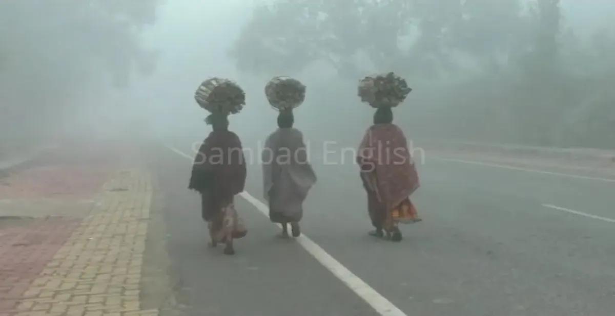 IMD predicts cold wave conditions in 3 Odisha districts till Nov 17