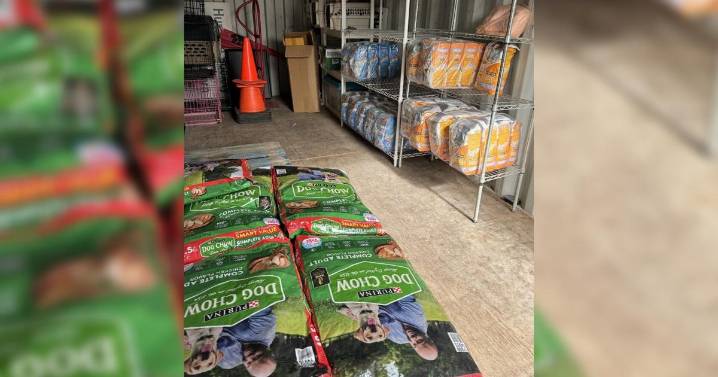 Humane Society of Southern Illinois aids pets despite closing facility