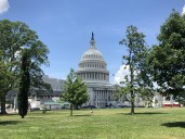 Congressman Taylor Backs Bipartisan Vote to Release Epstein Files