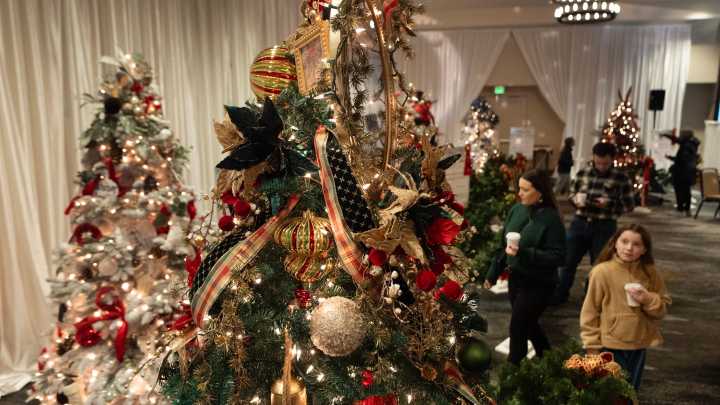 Festival of Trees brings holiday cheer to Eugene