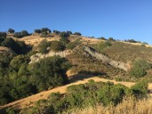 East Bay regional parks open for free as shopping alternative on ‘Green Friday’