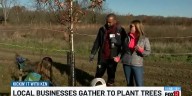 Kickin it with Ken: National, local businesses give back by planting trees in Milford