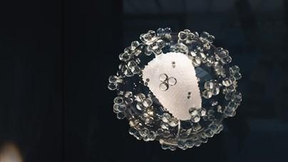 India Unveils 1st Low-Cost Indigenous Gene Therapy for Sickle Cell Disease