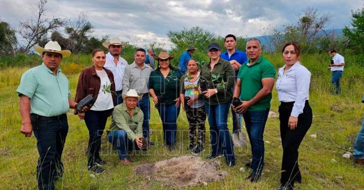 Impulsa Tamaulipas reforestación social con más de 31 mil plantas distribuidas en el Estado