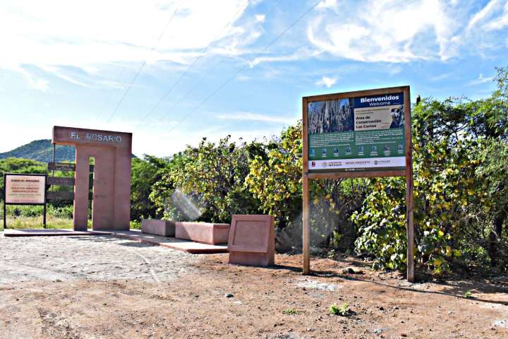 Ejido El Rosario es reconocido por su labor en la conservación del Santuario de los Cactus 