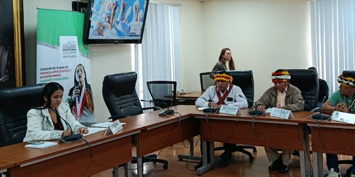 Líderes Awajún y Wampis alertan expansión de mineros ilegales y bandas criminales en la Amazonía: “Enseñan a matar a la gente”