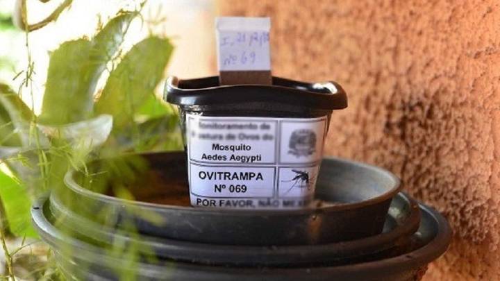 La Municipalidad de Paraná instala ovitrampas para monitorear el mosquito Aedes aegypti