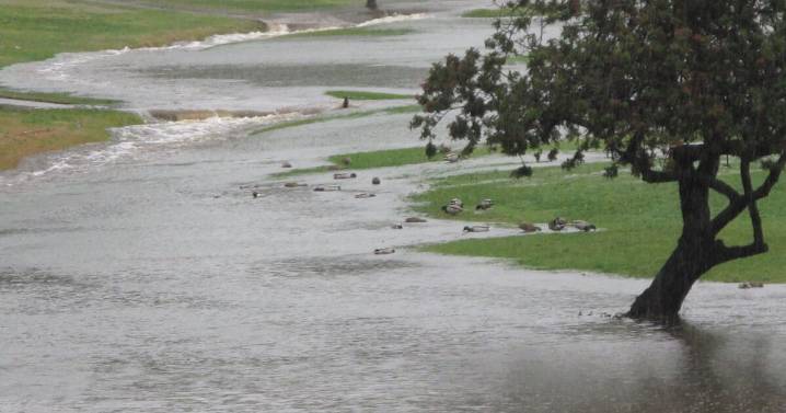 San Diego County expects warmer weather by the end of the weekend