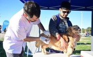 Veterinaria y Zoonosis – se suman jornadas de vacunación en barrios, desparasitación y antisárnicos