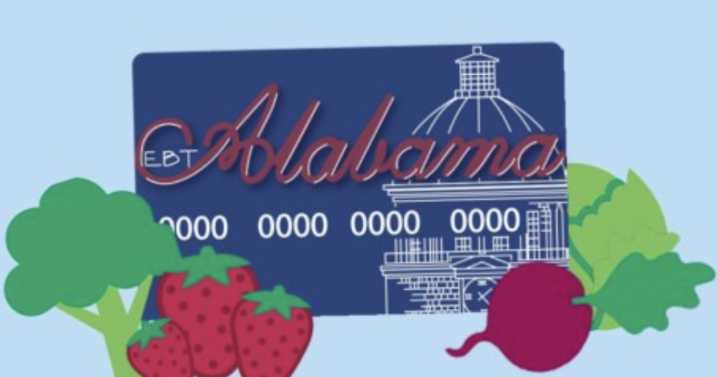 'Safety nets have turned into hammocks': Britt says SNAP reform to get people back on feet