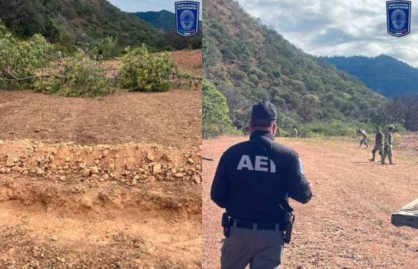 Destruyen pista de aterrizaje clandestina en Moris