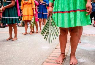Procuraduría pide cumplir sentencia para proteger a niños indígenas del Chocó