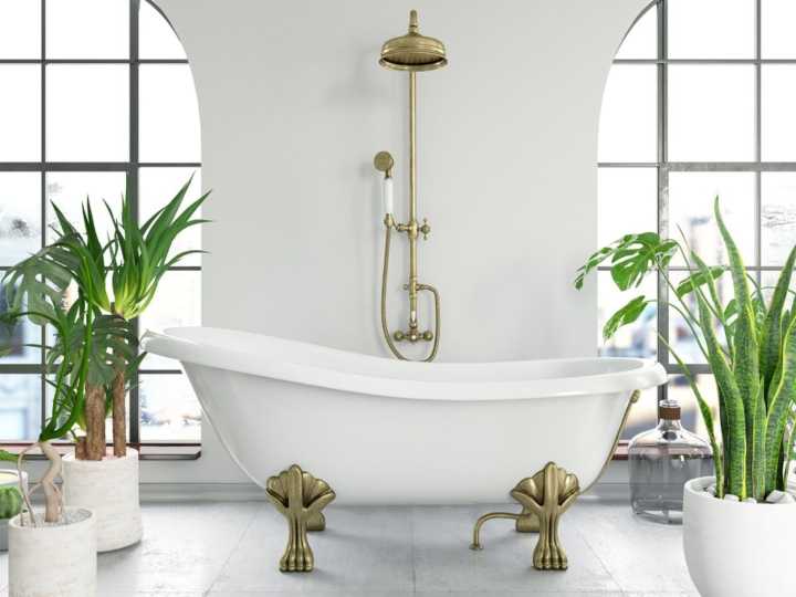 La planta ideal para el baño: absorbe humedad y decora al mismo tiempo