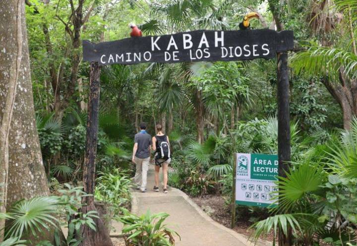 Con programa ambiental celebrarán 30 aniversario del Parque Kabah en Cancún