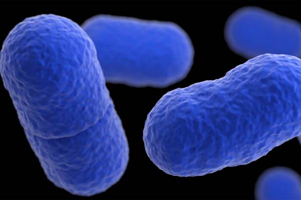 Worsening listeria outbreak kills 6, hospitalizes 25