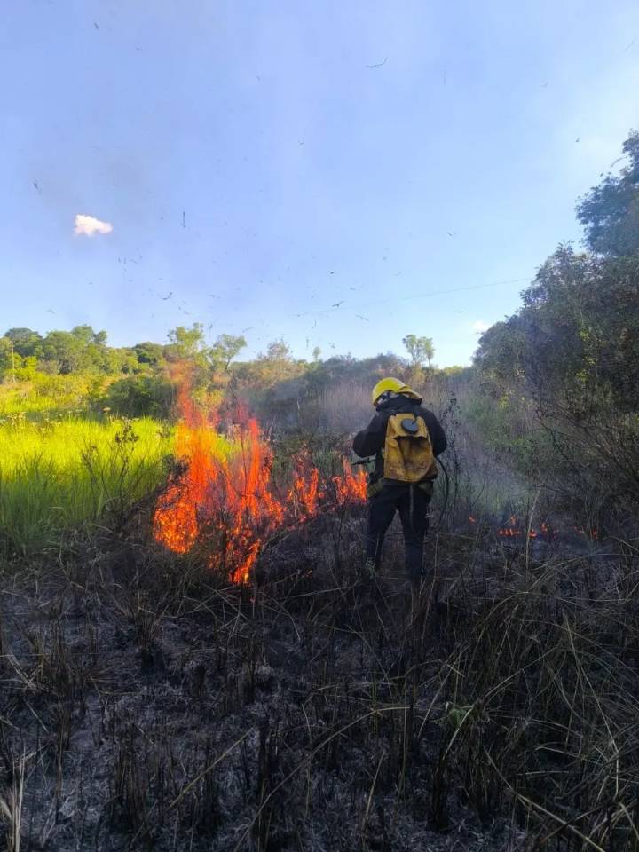 El riesgo de incendios es “muy alto” y no se esperan lluvias