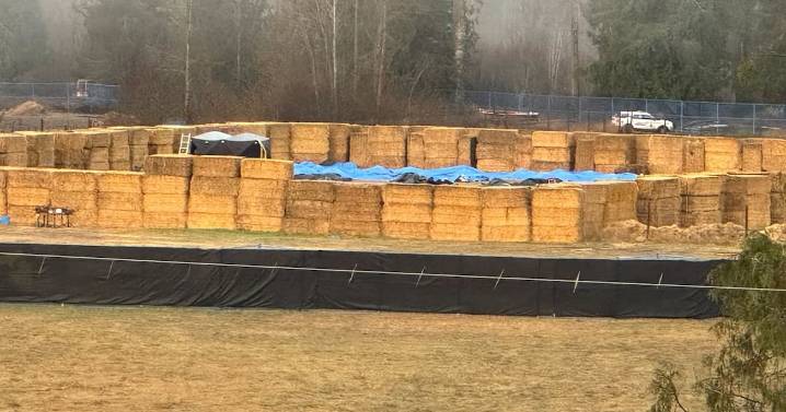 B.C. ostrich farm: Supporters looking at next steps