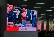 Logra México aval de CITES para modificar polígonos de protección de vaquita marina