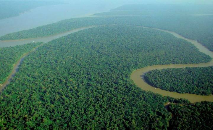 Bosques de África pasan de sumideros de carbono a fuentes de emisión