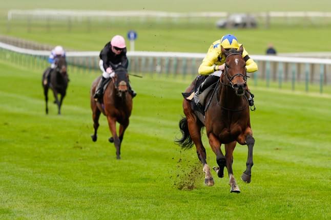 Horse racing betting tips today: Ascot, Down Royal and Wetherby latest odds