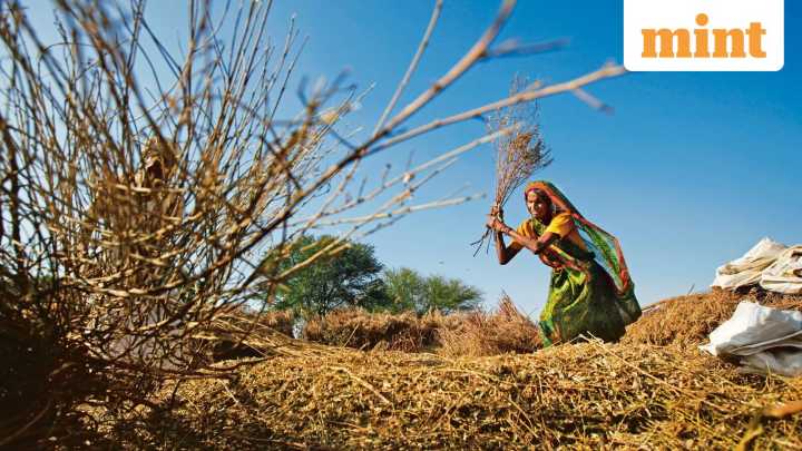 PM KISAN: Check schedule for release of 21st installment by PM Modi