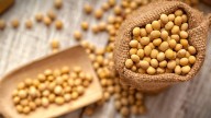 Colombia busca reducir su dependencia de soya importada con nuevos programas de siembra