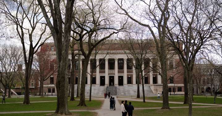 ¿Cuál era la relación de Epstein con Summers, alto funcionario de Harvard? Universidad lo investigará