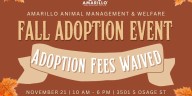 AAMW waiving adoption fees on Friday