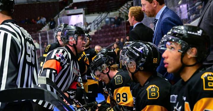 It’s a doggy dog world at the OHL’s quarter mark