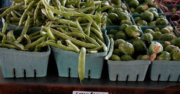 Trump administration says SNAP will be partially funded after judges’ rulings