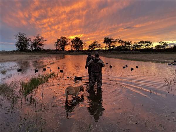 Outdoors: Partnership hunt another success story in northwest Ohio