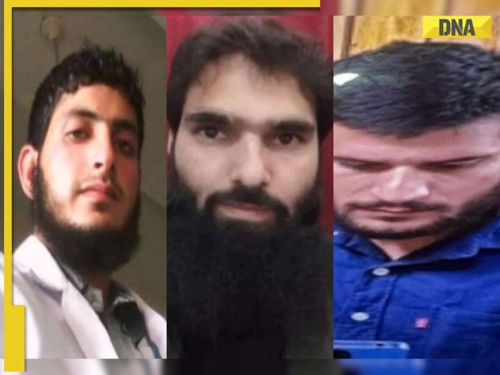 What is white collar terror ecosystem? How Pakistan shifts focus...