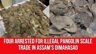 Four Arrested for Illegal Pangolin Scale Trade in Assam’s DimaHasao