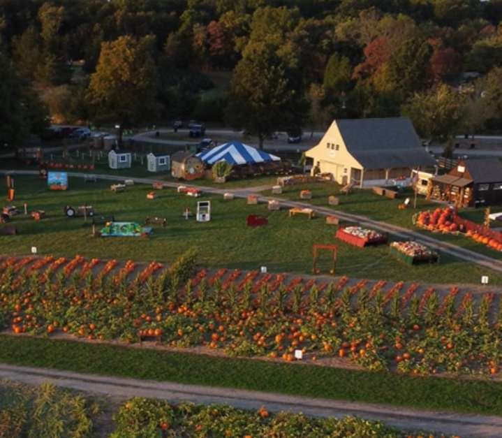 Visit Jones Winery: Where traditional wine tastings take center stage