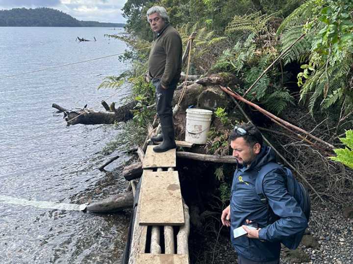 Sernapesca fiscaliza extracción de puye a pequeña escala en Raúl Marín Balmaceda