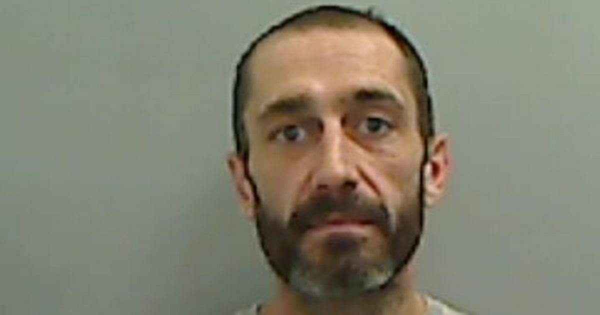 Danger dog lunged and sunk teeth into Post Office customer months after dad told to muzzle Alsatian