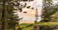 Norfolk Island blends beauty and darkness with surprising impact.