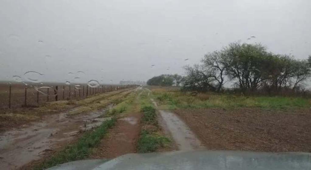 Lluvias: un sistema inestable dejó acumulados desiguales en el Litoral agrícola