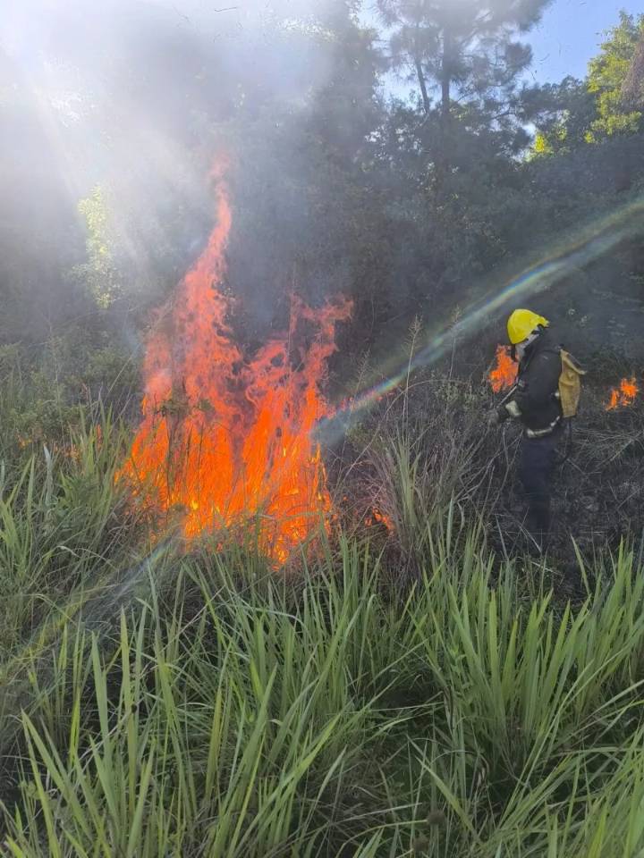 Santa Ana: controlaron incendio que avanzaba hacia el monte nativo