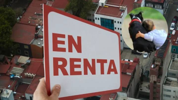 CDMX se convierte en pionera al prohibir discriminación en rentas por niños o mascotas: Emilio Guijosa