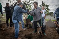 Ahora en Rosarito puedes solicitar árboles gratis para reforestar tu colonia