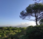 La Junta amplía el Parque Natural de La Breña con zonas como el Tómbolo de Trafalgar