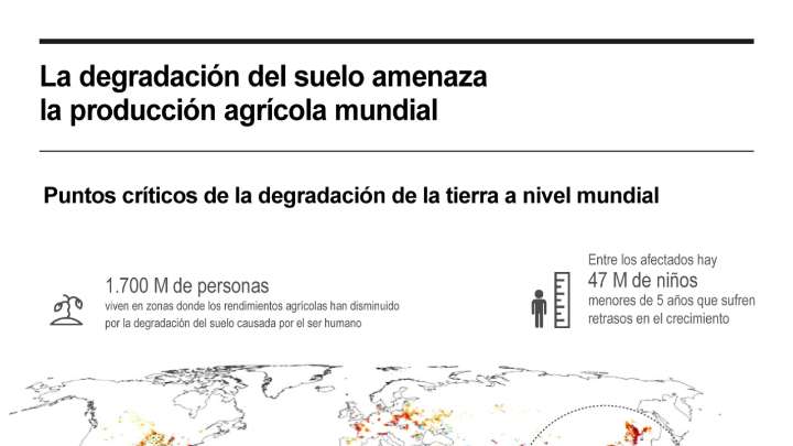 [Infografía] La degradación del suelo amenaza la producción agrícola mundial