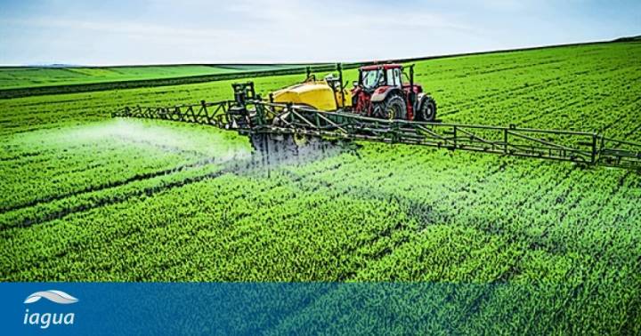 Eficiencia del uso del Agua en la Agricultura en América Latina y El Caribe