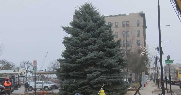 35-foot-tall Christmas tree arrives in downtown Rockford ahead of Stroll on State
