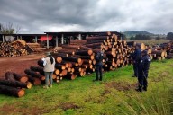 Diputados endurecen sanciones por delitos ambientales