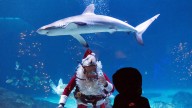 VIDEO: Adventure Aquarium's Christmas Underwater celebration returns