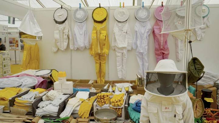 El futuro negro de los apicultores extremeños: "Producir un kilo de miel nos cuesta 3,65 y entran de otros países por debajo de los 2 euros"