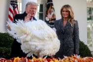 WATCH LIVE: Trump pardons turkeys Gobble and Waddle for Thanksgiving
