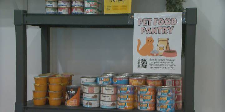 Local business launches pet food pantry as families struggle amid record 39